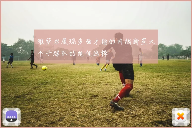 维萨尔展现多面才能的内线新星大个子球队的绝佳选择