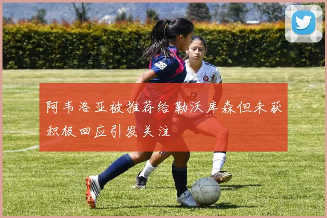 阿韦洛亚被推荐给勒沃库森但未获积极回应引发关注